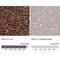 Ro antibody, NBP1-89070, Novus Biologicals, Immunohistochemistry paraffin image 