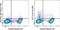 CD11C antibody, 69-0114-80, Invitrogen Antibodies, Flow Cytometry image 