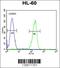 Olfactory Receptor Family 2 Subfamily F Member 2 antibody, 55-753, ProSci, Flow Cytometry image 