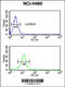 BLNK antibody, 62-281, ProSci, Flow Cytometry image 