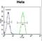 Proteasome Subunit Beta 8 antibody, LS-C162235, Lifespan Biosciences, Flow Cytometry image 