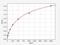 Granzyme K antibody, EH2439, FineTest, Enzyme Linked Immunosorbent Assay image 