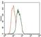 Fc Fragment Of IgE Receptor Ia antibody, MA5-17074, Invitrogen Antibodies, Flow Cytometry image 