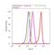 Claudin 16 antibody, 34-5400, Invitrogen Antibodies, Flow Cytometry image 