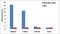 CAMP Responsive Element Binding Protein 1 antibody, MA1-083, Invitrogen Antibodies, Chromatin Immunoprecipitation image 