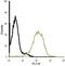 Bestrophin 1 antibody, PA5-77290, Invitrogen Antibodies, Flow Cytometry image 