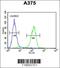 Actin Related Protein 2 antibody, 62-307, ProSci, Flow Cytometry image 