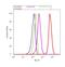 Resistin antibody, PA1-1050, Invitrogen Antibodies, Flow Cytometry image 