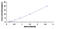 Tryptophan Hydroxylase 1 antibody, MBS2020645, MyBioSource, Enzyme Linked Immunosorbent Assay image 