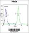 Transmembrane Protein 165 antibody, 61-958, ProSci, Flow Cytometry image 