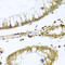 Peptidase, Mitochondrial Processing Beta Subunit antibody, 19-337, ProSci, Immunohistochemistry frozen image 