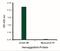 Avian Influenza Hemagglutinin 2 antibody, NBP2-41064, Novus Biologicals, Enzyme Linked Immunosorbent Assay image 