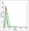 Tetraspanin 6 antibody, orb317988, Biorbyt, Flow Cytometry image 