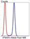 Interferon alpha-1 antibody, NBP2-67339, Novus Biologicals, Flow Cytometry image 