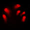 Autoimmune Regulator antibody, LS-C353900, Lifespan Biosciences, Immunofluorescence image 
