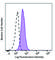 Interferon Regulatory Factor 6 antibody, 674503, BioLegend, Flow Cytometry image 