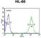 Beta-1,4-Galactosyltransferase 1 antibody, GTX80958, GeneTex, Flow Cytometry image 