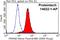 Proteasome Subunit Alpha 8 antibody, 14022-1-AP, Proteintech Group, Flow Cytometry image 