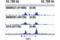 SWI/SNF Related, Matrix Associated, Actin Dependent Regulator Of Chromatin, Subfamily B, Member 1 antibody, 91735S, Cell Signaling Technology, Chromatin Immunoprecipitation image 