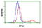 p53 antibody, LS-C172980, Lifespan Biosciences, Flow Cytometry image 