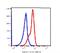 CD55 Molecule (Cromer Blood Group) antibody, FC00910-Biotin, Boster Biological Technology, Flow Cytometry image 