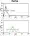 Complement C3d Receptor 2 antibody, abx033091, Abbexa, Flow Cytometry image 