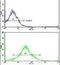 Matrix Metallopeptidase 19 antibody, PA5-13187, Invitrogen Antibodies, Flow Cytometry image 