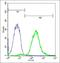 Tectonic Family Member 3 antibody, orb158585, Biorbyt, Flow Cytometry image 