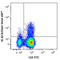 Interferon Gamma antibody, 502537, BioLegend, Immunocytochemistry image 