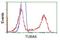 Tubulin Alpha 8 antibody, GTX83463, GeneTex, Flow Cytometry image 