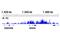 Bromodomain Containing 9 antibody, 48306S, Cell Signaling Technology, Chromatin Immunoprecipitation image 
