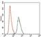 Rho GDP Dissociation Inhibitor Alpha antibody, NBP2-37472, Novus Biologicals, Flow Cytometry image 