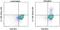 Interleukin 17F antibody, 48-9179-42, Invitrogen Antibodies, Flow Cytometry image 