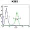 Tau Tubulin Kinase 2 antibody, abx026626, Abbexa, Flow Cytometry image 