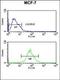 Claudin 2 antibody, orb214855, Biorbyt, Flow Cytometry image 