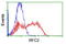 Replication Factor C Subunit 2 antibody, LS-C174085, Lifespan Biosciences, Flow Cytometry image 