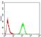 Chromobox 5 antibody, NBP2-52434, Novus Biologicals, Flow Cytometry image 