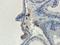 Sodium Channel Epithelial 1 Gamma Subunit antibody, orb389322, Biorbyt, Immunohistochemistry paraffin image 