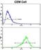 Transglutaminase 4 antibody, abx033064, Abbexa, Flow Cytometry image 