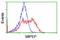 Mitochondrial Intermediate Peptidase antibody, LS-C175207, Lifespan Biosciences, Flow Cytometry image 