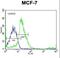 SRC Proto-Oncogene, Non-Receptor Tyrosine Kinase antibody, LS-C203762, Lifespan Biosciences, Flow Cytometry image 