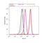 BCL2 Interacting Protein 3 Like antibody, 39-3300, Invitrogen Antibodies, Flow Cytometry image 