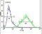 RAN, Member RAS Oncogene Family antibody, PA5-25902, Invitrogen Antibodies, Flow Cytometry image 