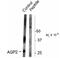 Aquaporin 2 antibody, NB100-61100, Novus Biologicals, Western Blot image 