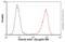 Actin Alpha 2, Smooth Muscle antibody, ab46805, Abcam, Flow Cytometry image 