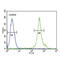 Adiponectin Receptor 2 antibody, abx032413, Abbexa, Flow Cytometry image 