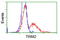 Tripartite Motif Containing 2 antibody, TA501559, Origene, Flow Cytometry image 