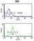 Replication Factor C Subunit 3 antibody, abx031753, Abbexa, Western Blot image 