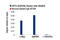 SPT4 Homolog, DSIF Elongation Factor Subunit antibody, 64828S, Cell Signaling Technology, Chromatin Immunoprecipitation image 