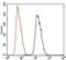 Aldehyde Dehydrogenase 2 Family Member antibody, MA5-17029, Invitrogen Antibodies, Flow Cytometry image 